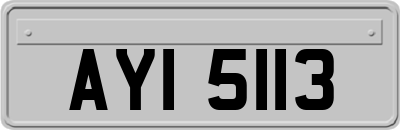 AYI5113