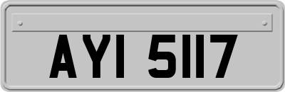 AYI5117