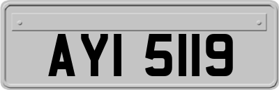 AYI5119