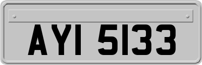 AYI5133