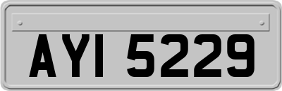 AYI5229