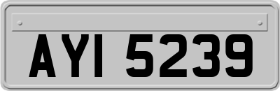 AYI5239