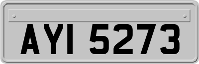 AYI5273