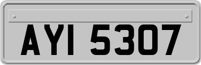 AYI5307