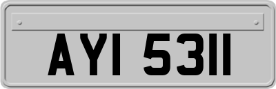 AYI5311