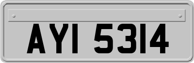 AYI5314