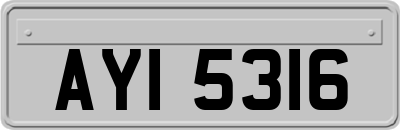 AYI5316