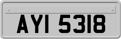 AYI5318