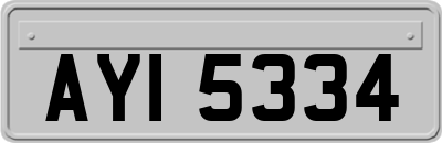 AYI5334