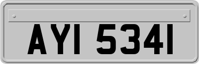 AYI5341