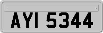 AYI5344