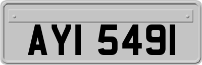 AYI5491