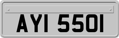 AYI5501