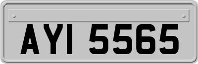 AYI5565