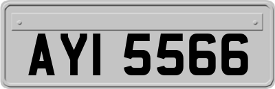 AYI5566