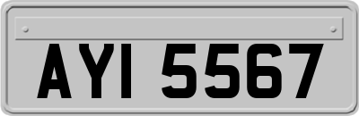 AYI5567