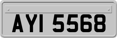 AYI5568