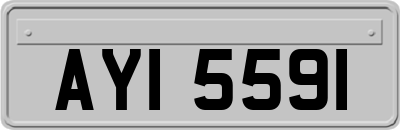 AYI5591