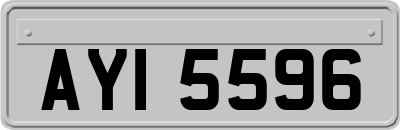 AYI5596
