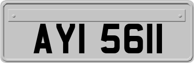AYI5611