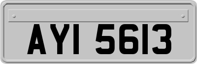 AYI5613