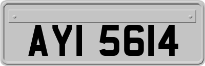 AYI5614
