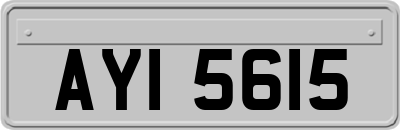 AYI5615
