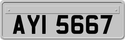 AYI5667