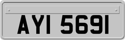 AYI5691