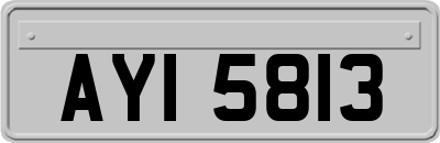 AYI5813