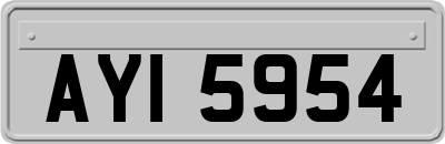 AYI5954