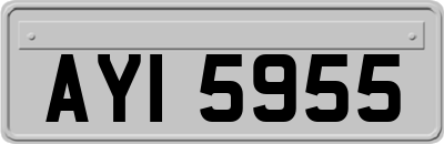 AYI5955