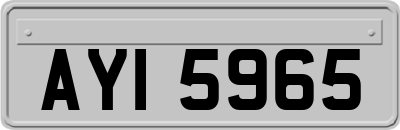 AYI5965