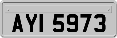 AYI5973