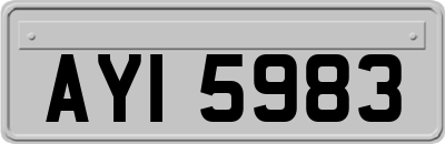 AYI5983