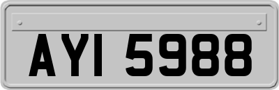AYI5988