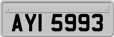 AYI5993