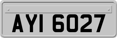 AYI6027