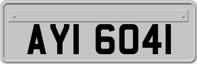 AYI6041
