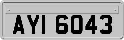 AYI6043