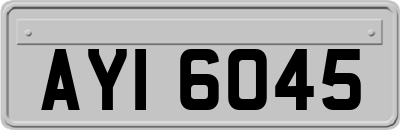 AYI6045