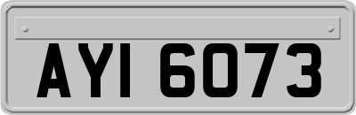AYI6073