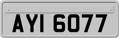 AYI6077