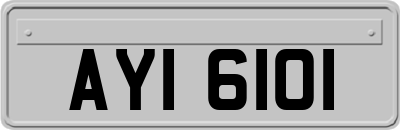 AYI6101