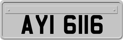 AYI6116