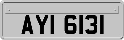 AYI6131