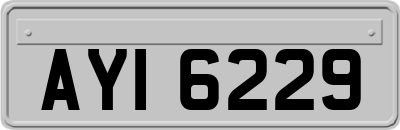 AYI6229