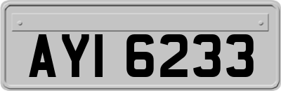 AYI6233