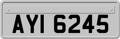 AYI6245