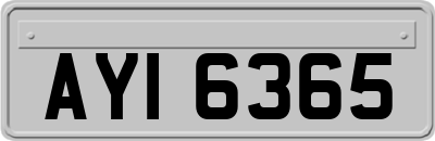 AYI6365